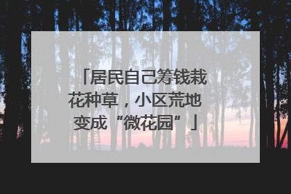 居民自己筹钱栽花种草，小区荒地变成“微花园”