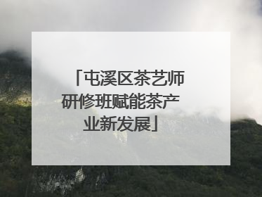 屯溪区茶艺师研修班赋能茶产业新发展