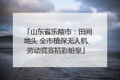 山东省乐陵市：田间地头 全市植保无人机劳动竞赛精彩纷呈