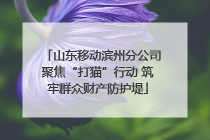 山东移动滨州分公司聚焦“打猫”行动 筑牢群众财产防护堤