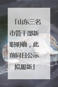 山东三名市管干部新职明确，此前同日公示拟履新
