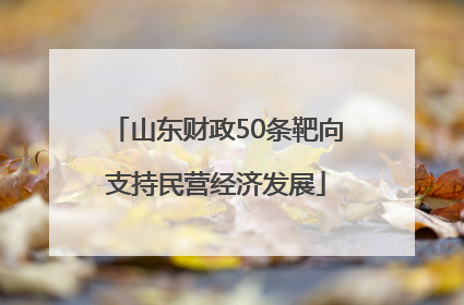 山东财政50条靶向支持民营经济发展