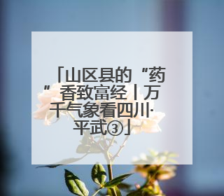 山区县的“药”香致富经丨万千气象看四川·平武③