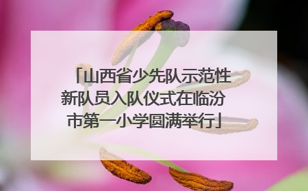 山西省少先队示范性新队员入队仪式在临汾市第一小学圆满举行