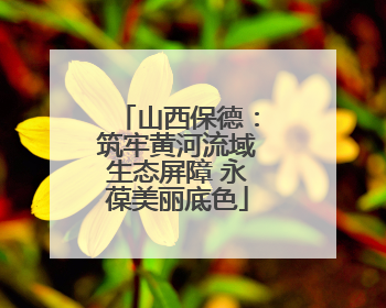 山西保德：筑牢黄河流域生态屏障 永葆美丽底色