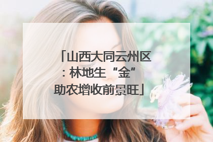山西大同云州区：林地生“金” 助农增收前景旺