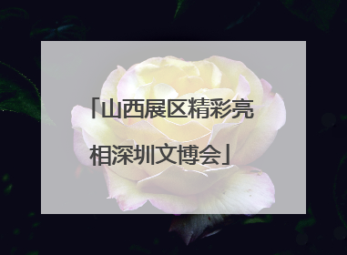 山西展区精彩亮相深圳文博会