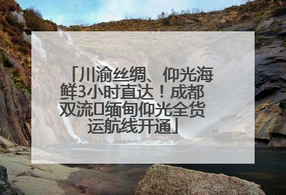 川渝丝绸、仰光海鲜3小时直达！成都双流⇌缅甸仰光全货运航线开通
