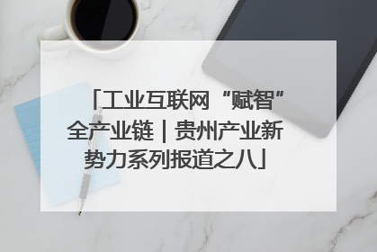 工业互联网“赋智”全产业链｜贵州产业新势力系列报道之八