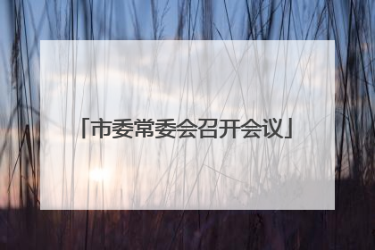 市委常委会召开会议