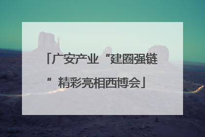 广安产业“建圈强链”精彩亮相西博会
