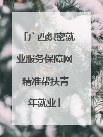 广西织密就业服务保障网 精准帮扶青年就业
