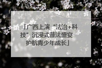 广西上演“法治+科技”沉浸式普法盛宴 护航青少年成长