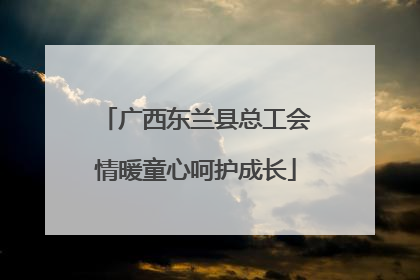 广西东兰县总工会情暖童心呵护成长