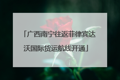 广西南宁往返菲律宾达沃国际货运航线开通