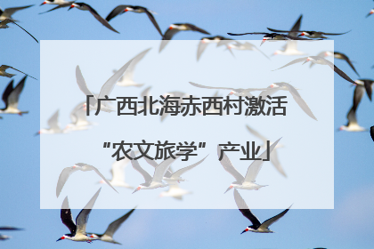 广西北海赤西村激活“农文旅学”产业