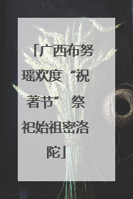 广西布努瑶欢度“祝著节” 祭祀始祖密洛陀