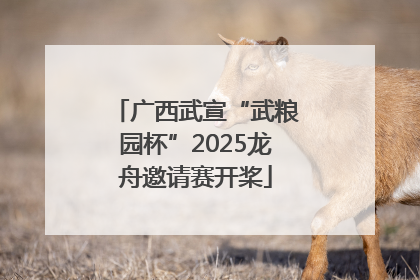 广西武宣“武粮园杯”2025龙舟邀请赛开桨