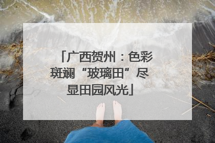 广西贺州：色彩斑斓“玻璃田”尽显田园风光