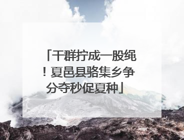 干群拧成一股绳！夏邑县骆集乡争分夺秒促夏种
