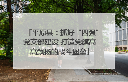 平原县：抓好“四强”党支部建设 打造党旗高高飘扬的战斗堡垒