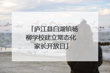 庐江县白湖镇杨柳学校建立常态化家长开放日