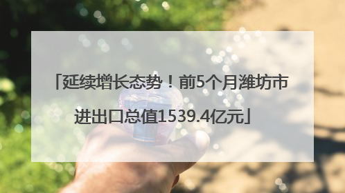 延续增长态势！前5个月潍坊市进出口总值1539.4亿元