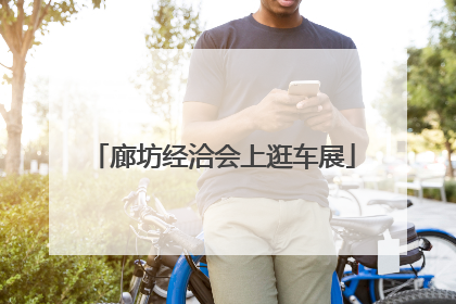 廊坊经洽会上逛车展