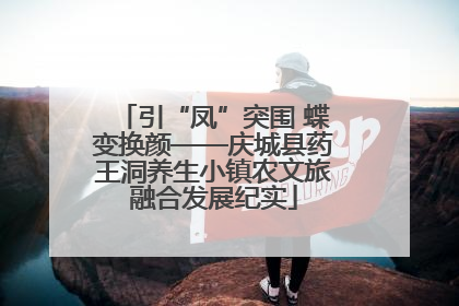 引“凤”突围 蝶变换颜——庆城县药王洞养生小镇农文旅融合发展纪实