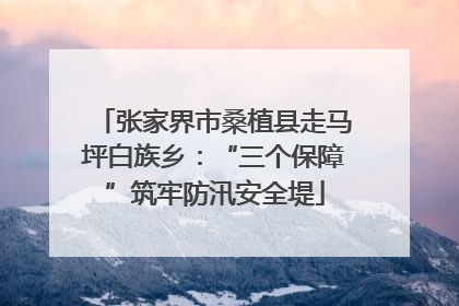 张家界市桑植县走马坪白族乡：“三个保障”筑牢防汛安全堤
