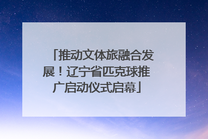 推动文体旅融合发展！辽宁省匹克球推广启动仪式启幕
