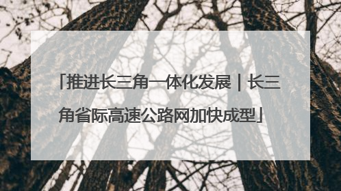 推进长三角一体化发展｜长三角省际高速公路网加快成型