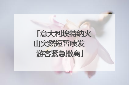 意大利埃特纳火山突然短暂喷发 游客紧急撤离