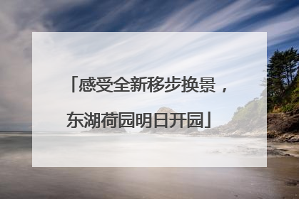 感受全新移步换景，东湖荷园明日开园