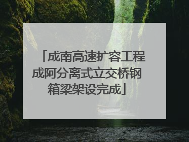 成南高速扩容工程成阿分离式立交桥钢箱梁架设完成