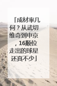 成材率几何？从武切维奇到申京，16顺位走出的球星还真不少