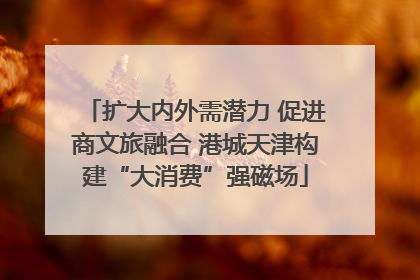 扩大内外需潜力 促进商文旅融合 港城天津构建“大消费”强磁场