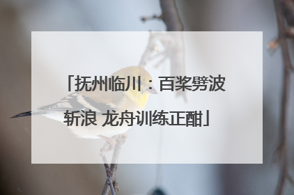 抚州临川：百桨劈波斩浪 龙舟训练正酣