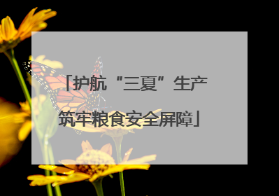 护航“三夏”生产 筑牢粮食安全屏障