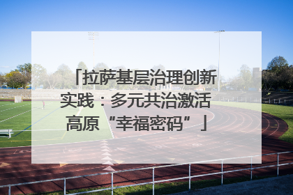 拉萨基层治理创新实践：多元共治激活高原“幸福密码”