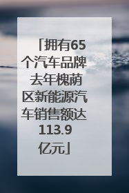 拥有65个汽车品牌 去年槐荫区新能源汽车销售额达113.9亿元