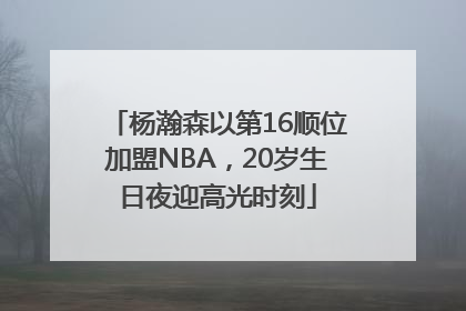 杨瀚森以第16顺位加盟NBA，20岁生日夜迎高光时刻
