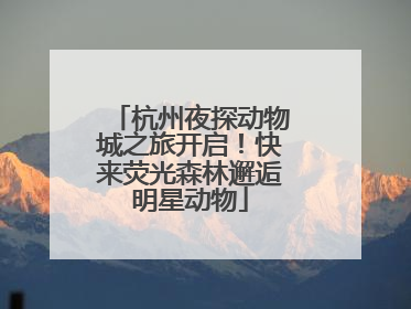 杭州夜探动物城之旅开启！快来荧光森林邂逅明星动物