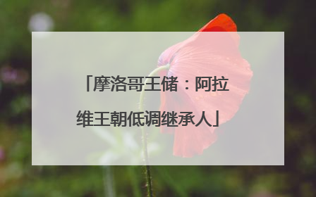 摩洛哥王储：阿拉维王朝低调继承人