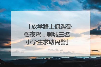 放学路上偶遇受伤夜鹭，聊城三名小学生求助民警