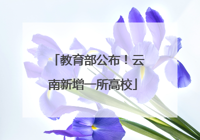 教育部公布！云南新增一所高校