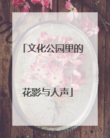 文化公园里的花影与人声