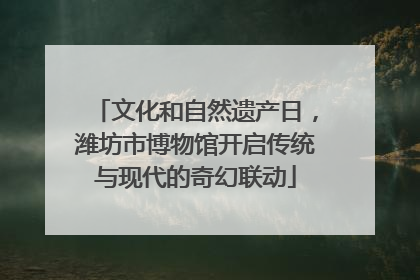 文化和自然遗产日，潍坊市博物馆开启传统与现代的奇幻联动