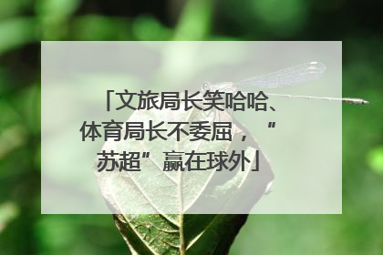 文旅局长笑哈哈、体育局长不委屈，“苏超”赢在球外