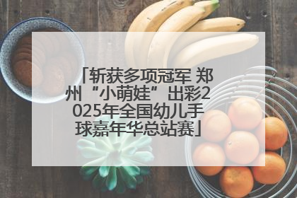 斩获多项冠军 郑州“小萌娃”出彩2025年全国幼儿手球嘉年华总站赛